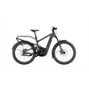 Riese & Müller Delite5 GT Pinion 800 Wh, stone grey, 51 cm