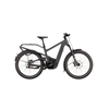 Riese & Müller Delite5 GT Pinion 800 Wh, stone grey, 51 cm