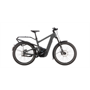 Riese & Müller Delite5 GT Pinion 800 Wh, stone grey, 51 cm