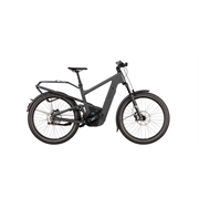 Riese & Müller Delite5 GT Pinion 800 Wh, stone grey, 51 cm