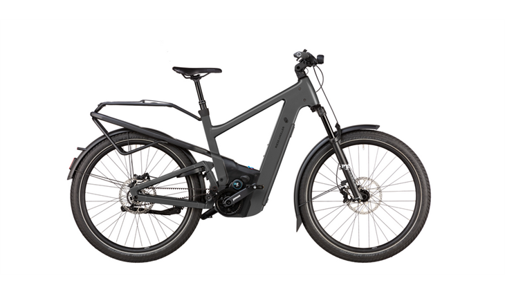 Riese & Müller Delite5 GT Pinion 800 Wh, stone grey, 51 cm