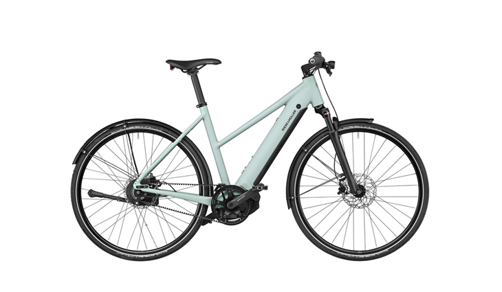 Riese & Müller Roadster4 Mixte vario 625 Wh, salvia matt, 45 cm