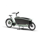 Urban Arrow FamilyNext Pro 800 Wh, Magura Cme, Grün