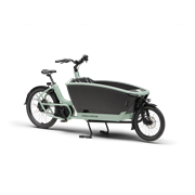 Urban Arrow FamilyNext Pro 800 Wh, Magura Cme, Grün