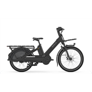Gazelle Cabby C380 Low Step SE 545 Wh, black matt, 55 cm