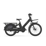 Gazelle Cabby C380 Low Step SE 545 Wh, black matt, 55 cm
