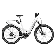 Riese & Müller Homage4 GTvario 625 Wh, pearl white, 54 cm