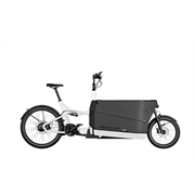 Riese & Müller Packster2 70 CT vario 750 Wh, universal, white