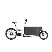 Riese & Müller Packster2 70 CT vario 750 Wh, universal, white