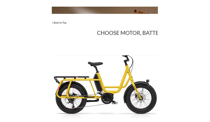 Benno Bikes Remi Demi XL 545 WH, Yellow,