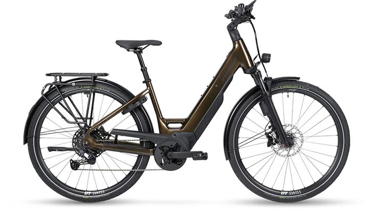 Stevens E-Triton 8.8.1 Plus Forma, Smoked Oak Brown, 56 cm