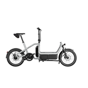 Riese & Müller Carrie2 City 545 Wh, shadow, universal