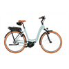 Riese & Müller Swing5 silent 500 Wh, salvia matt, 51cm
