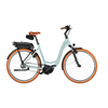 Riese & Müller Swing5 silent 500 Wh, salvia matt, 51cm