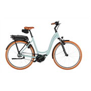 Riese & Müller Swing5 silent 500 Wh, salvia matt, 51cm