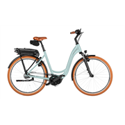 Riese & Müller Swing5 silent 500 Wh, salvia matt, 51cm