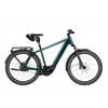 Riese & Müller Charger5 vario 800 Wh, pine, 53 cm
