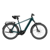 Riese & Müller Charger5 vario 800 Wh, pine, 53 cm