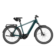 Riese & Müller Charger5 vario 800 Wh, pine, 53 cm