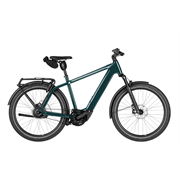 Riese & Müller Charger5 vario 800 Wh, pine, 53 cm