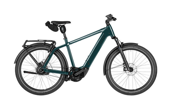 Riese & Müller Charger5 vario 800 Wh, pine, 53 cm