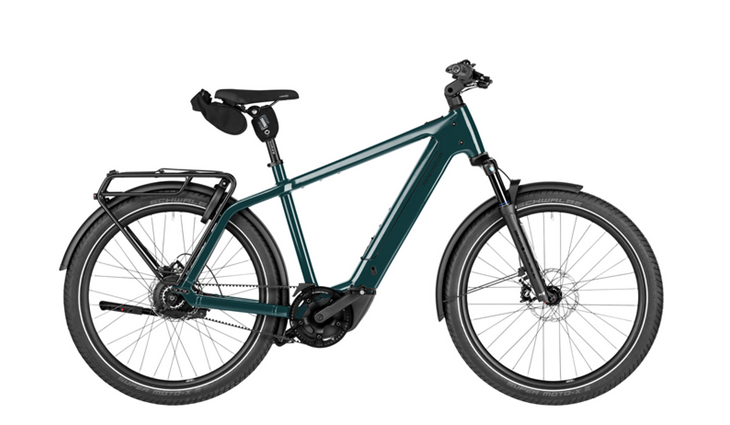 Riese & Müller Charger5 vario 800 Wh, pine, 53 cm